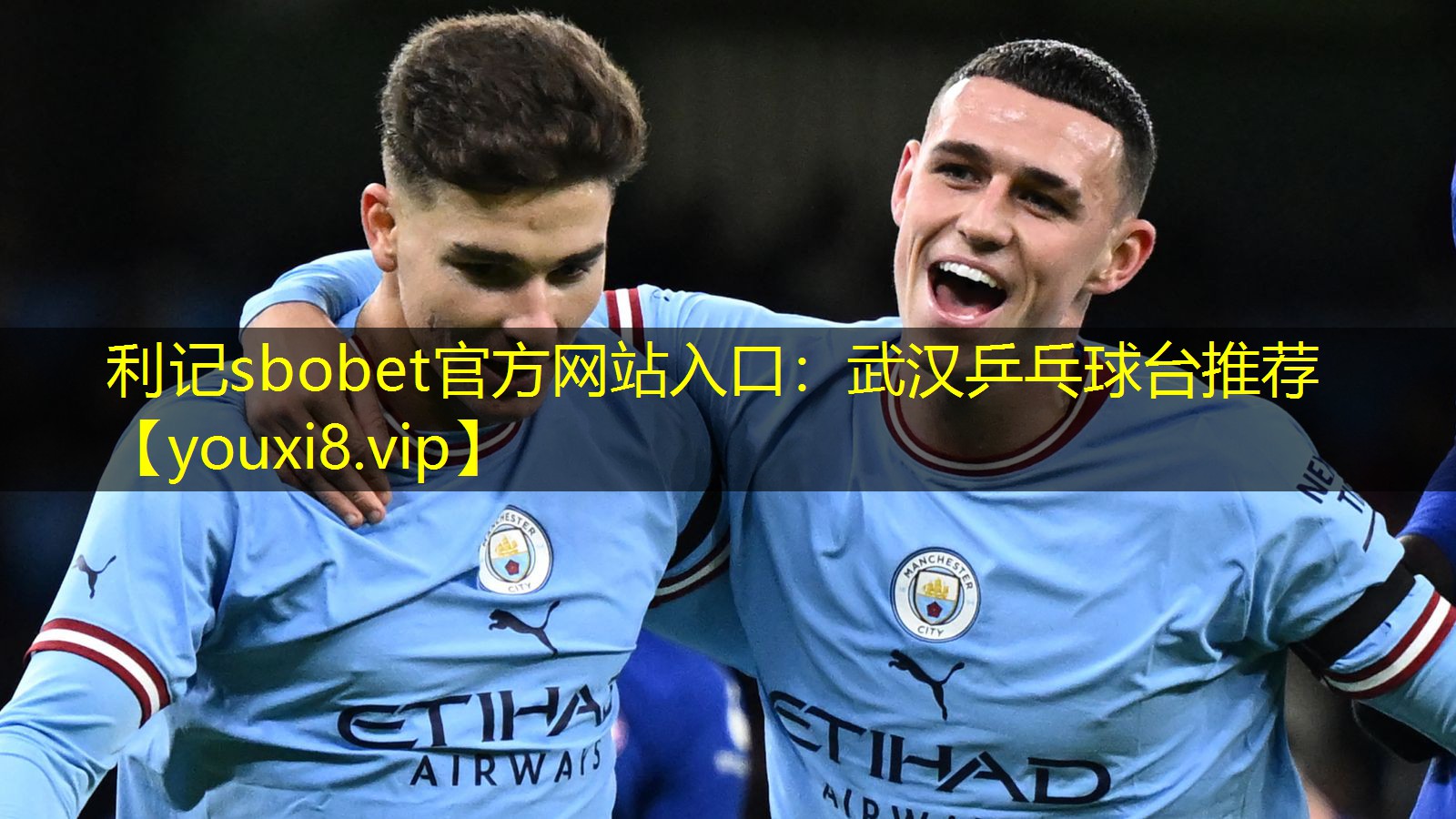 利记sbobet官方网站入口：武汉乒乓球台推荐