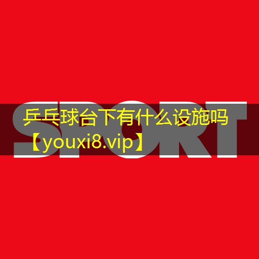 乒乓球台下有什么设施吗