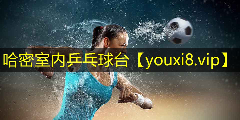 哈密室内乒乓球台