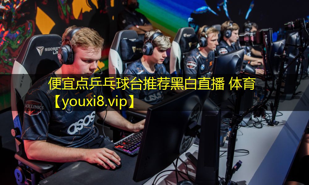 便宜点乒乓球台推荐黑白直播 体育