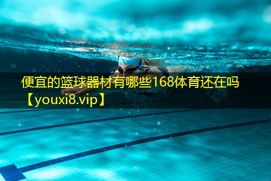 便宜的篮球器材有哪些168体育还在吗