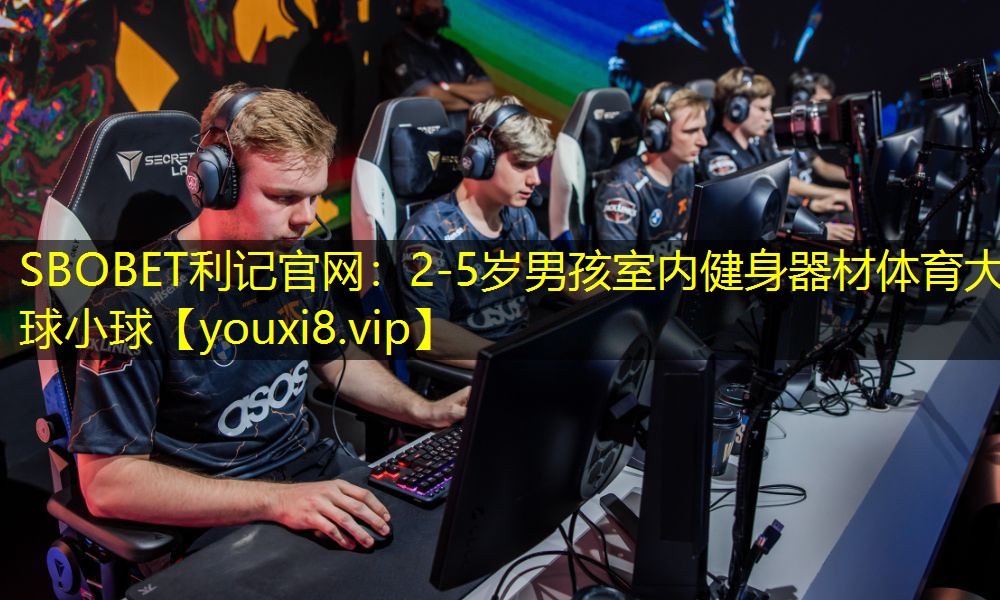 SBOBET利记官网：2-5岁男孩室内健身器材体育大球小球