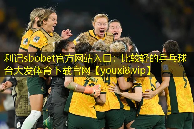 利记sbobet官方网站入口：比较轻的乒乓球台大发体育下载官网