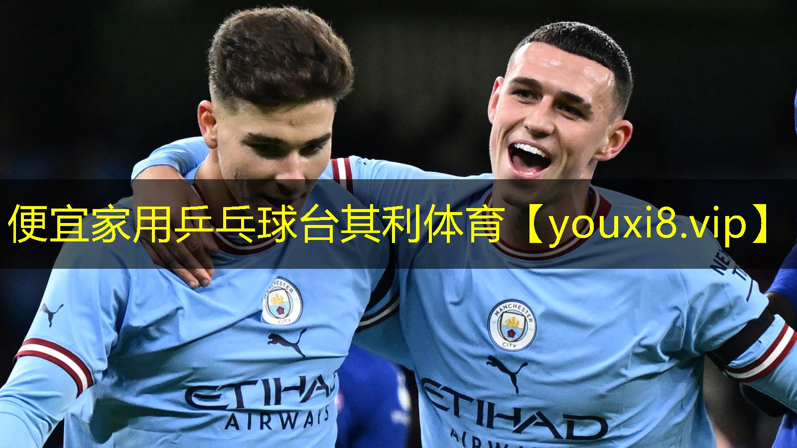 便宜家用乒乓球台其利体育