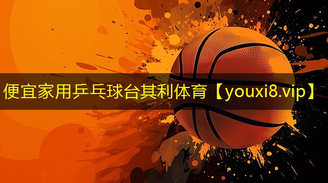 便宜家用乒乓球台其利体育