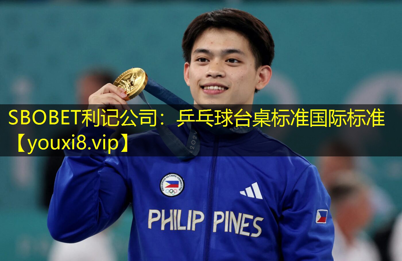 乒乓球台桌标准国际标准 乒乓球台桌标准国际标准