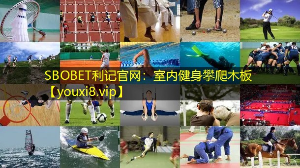 室内健身攀爬木板 室内健身攀爬木板