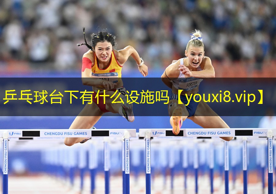 乒乓球台下有什么设施吗 乒乓球台下有什么设施吗
